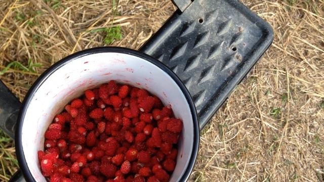 Что с ней делать? ) смотреть онлайн