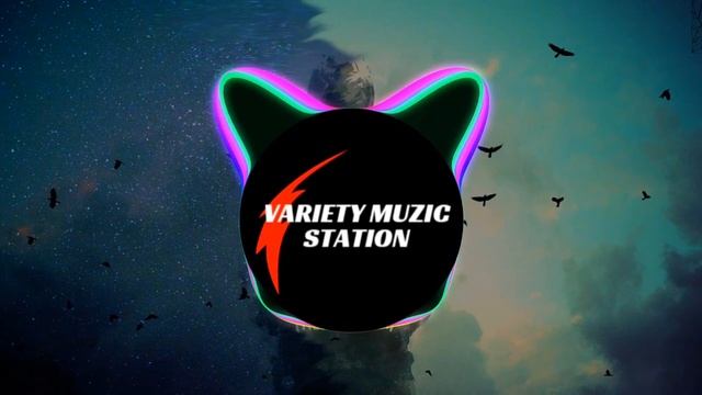 Loituma - Levan Polkka | Remix | Variety MuZic station | Pari Papa Pari Pari