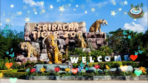 ?Sriracha Tiger Zoo | Тигровый зоопарк Сирача?