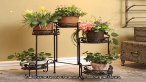 Как использовать мох сфагнум для цветов