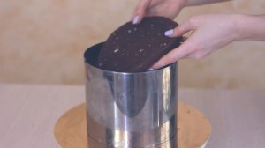 Торт. Рецепт освежающего торта. Бисквит и три начинки. Рецепт мятного бисквита и фруктовых начинок