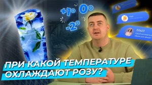 «При какой температуре охлаждают розу?» | Ответы на вопросы | Цветы оптом