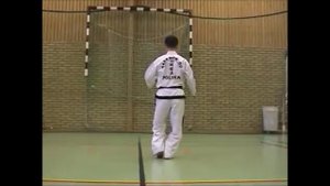 Кван-Ге (Kwang-GaeTul-Taekwondo techniques)