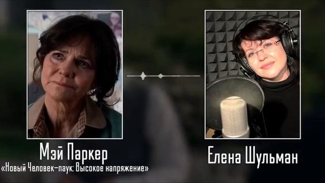 Елена Шульман и её работы