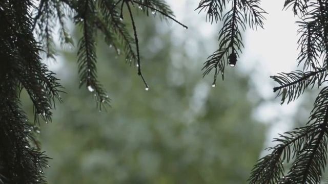 Красивая Музыка Музыка Для Отдыха, От Усталости смотреть онлайн