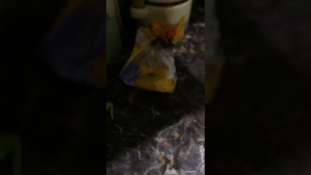 Как открыть пластиковую банку Кока-кола смотреть онлайн