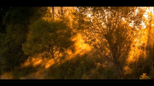 П.И. Чайковский Анданте Кантабиле