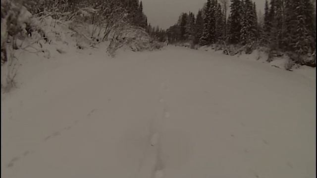 ОХОТА И РЫБАЛКА. ПЕРВЫЕ ХАРИУСА, СОБАКИ ЛАЮТ ПОСТОЯННО, ДИЧИ МНОГО. смотреть онлайн