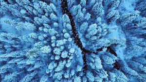 ЧТО ПРОИЗОЙДЕТ С МЁРТВЫМ ТЕЛОМ В КОСМОСЕ ?!