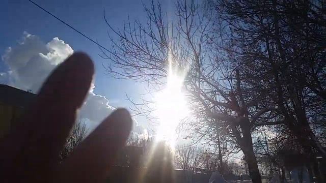 БЕРЕГИТЕ ПРИРОДУ - ЭКОЛОГИЮ НЕ ЗАГРЯЗЬНЯЙТЕ... 2 02 21...