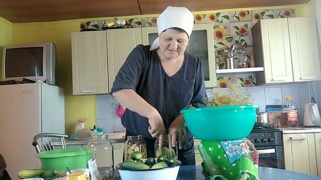 Влог. Засолка огурцов на зиму ?Спешу всё успеть! смотреть онлайн