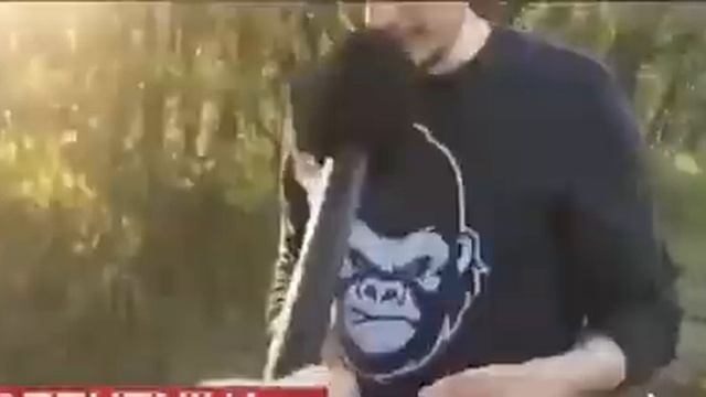 Это Владимир - гений кулинарного мастерства смотреть онлайн