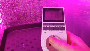 Стеллажи для рассады// Лампы для подсветки рассады//Разборный стеллаж с подсветкой для рассады.