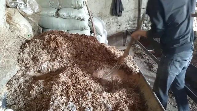 Mol boqish siri Molga qanaqa nima berish kerak?