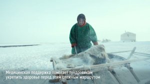 Арктическое здоровье