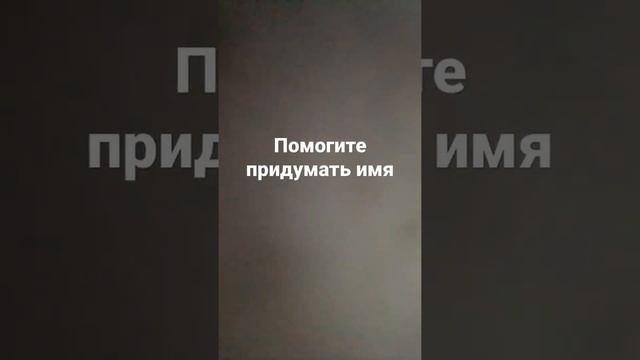 помогите придумать имя для уточки