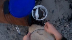 Рыбалка на БАРЕНЦЕВОМ море ?