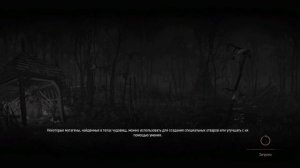 [Witcher 3:Wild Hunt]--Баг с Интоксикацией. Как исправить?