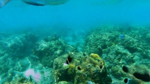 Пхукет 2019, пляж Банг-Тао, отель Cassia Phuket 4* [Phuket, Bang Tao Beach, hotel Cassia Phuket 4*]