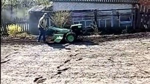 Посев фацелии