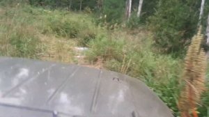 Рыбалка на кемчуге, небольшой выезд летом) лес, тайга, сибирь!