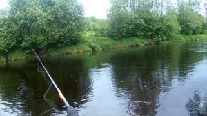 Капша, хариус, спиннинг.