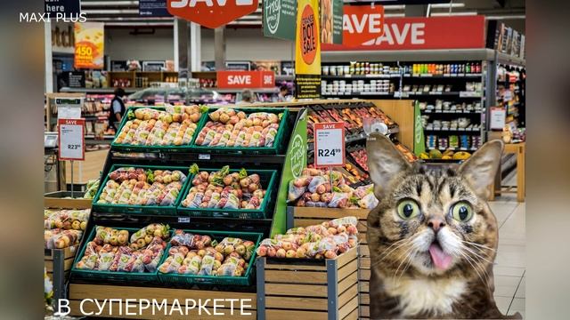 ✅ 15 Звуков "Мяуканье Кота" за 30 секунд. Мяуканье Кошки.