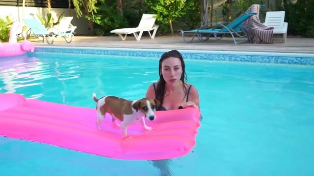 ФЛАМИНГО ЧЕЛЛЕНДж БАССЕЙН Развлечений КИПР КОНКУРС #48 | Elli Di Pets