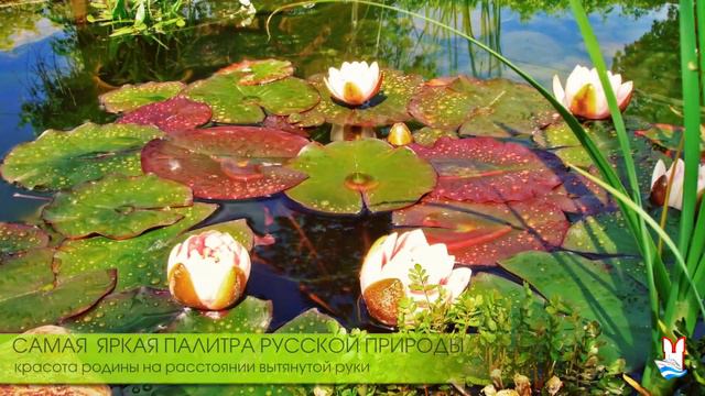 Туризм сегодня по России