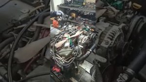 Контрактный  двигатель  SUBARU LEGACY Bh9 EJ254 7477289