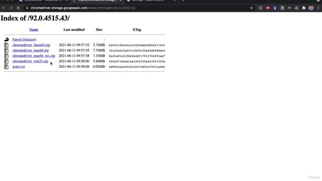 6. Project #1 Dealing with Multiple Pages using Sel -3. Installing Selenium and ChromeDriver
