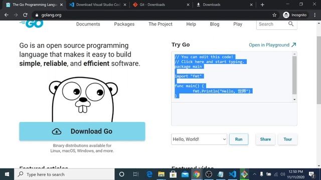 Golang Installation VScode (Thai) 101 смотреть онлайн