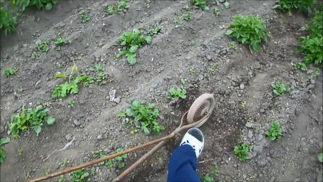 Обзор Саморобного Ручного міжрядного культиватора і окучника!! смотреть онлайн