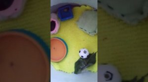 ДОМИК ДЛЯ БОЖЬЕЙ КОРОВКИ МАРИШИ/ОБУСТРАЕВАЕМ ПОУДОБНЕЕ???