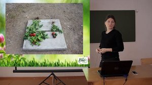Выращивание перцев и баклажан