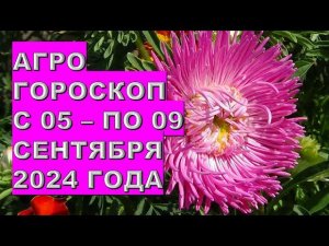 Агрогороскоп с 05 по 09 сентября 2024 года  Agrohoroscope from September 5 to September 9, 2024