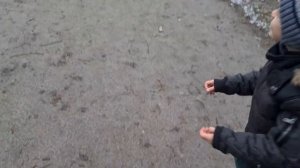 Летающая тарелка . Игрушка которая понравится всем детям #toys #playtoys