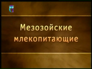Предки птиц и зверей. Урок 10. Мезозойские млекопитающие