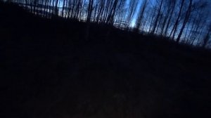 Охота на вальдшнепа с манком