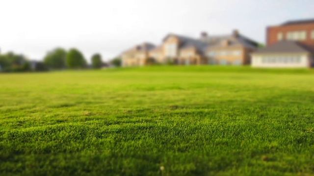 Вырыл яму в доме сам себе. Ну и соседи