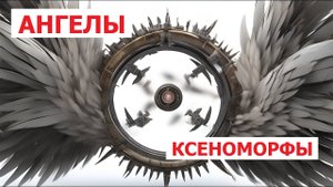 Как выглядят Ангелы - ксеноморфы?