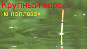 Крупный КАРАСЬ на ПОПЛАВОК, рыбалка весной на удочку  Ловля на малой реке.mp4