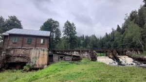Экотропа Ленинградской области. Гряда Вярямянселькя