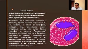 Лимфопения  Лимфоцитоз