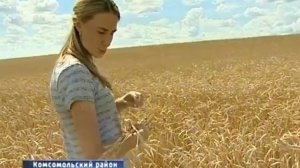 Агрономы Россельхозцентра проверяют семеноводческие посевы