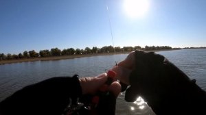 Судак осенью. Астрахань 2020. река Кигач