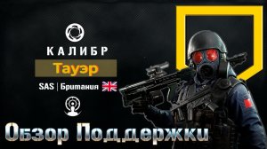 Поддержка Тауэр. Подробный обзор. Игра Калибр