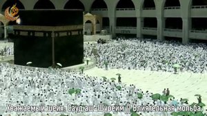 Влиятельная мольба  ||  Уважаемый шейх: Сауд аш-Шурейм