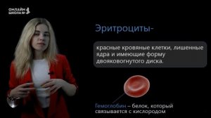 Внутренняя среда организма. Урок 12. Биология 8 класс