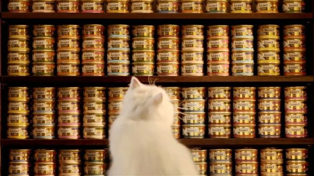 Purina Gourmet Decisions смотреть онлайн